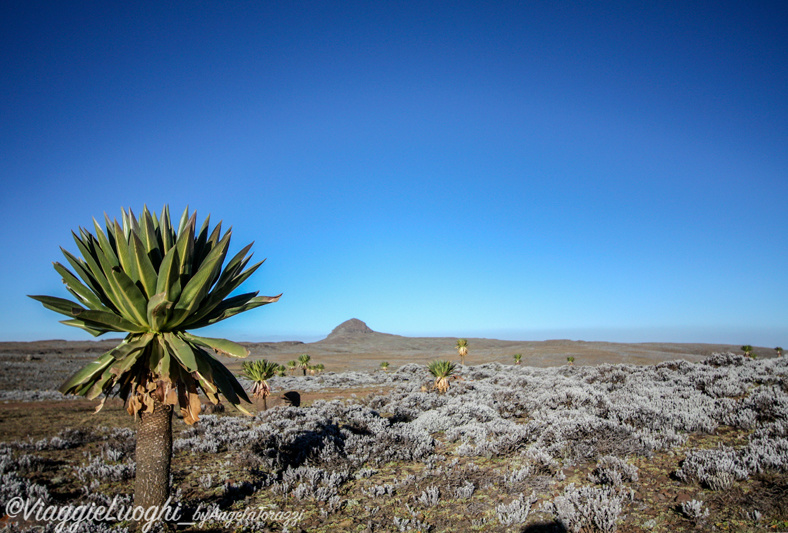 Etiopia Sud Dic. 2013 37