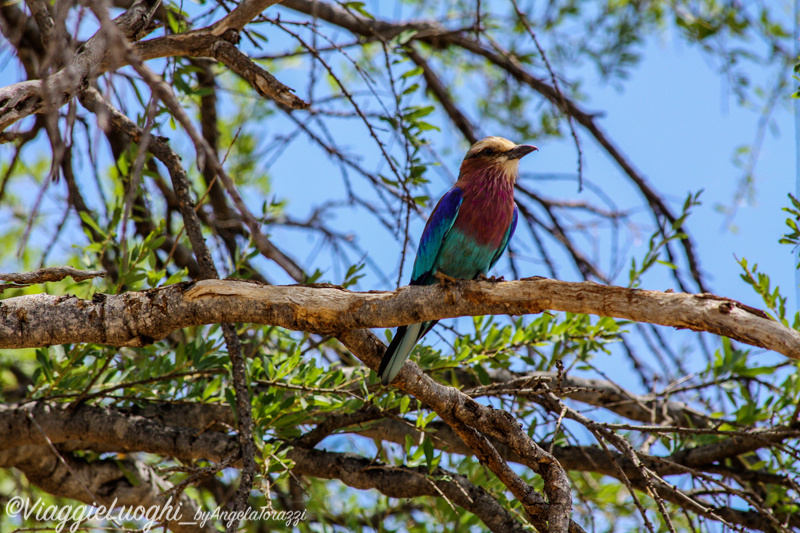 Kenya Mar 13 086