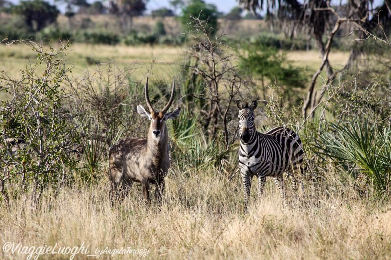 Kenya Mar 13 202