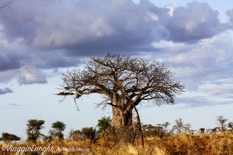 Kenya Mar 13 217