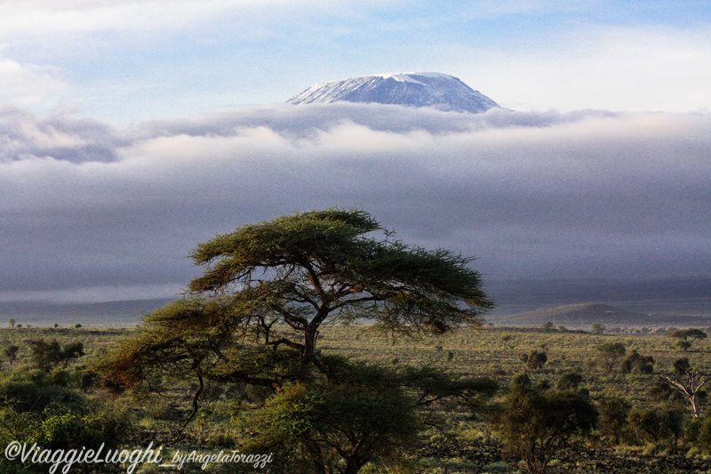 Kenya Mar 13 994