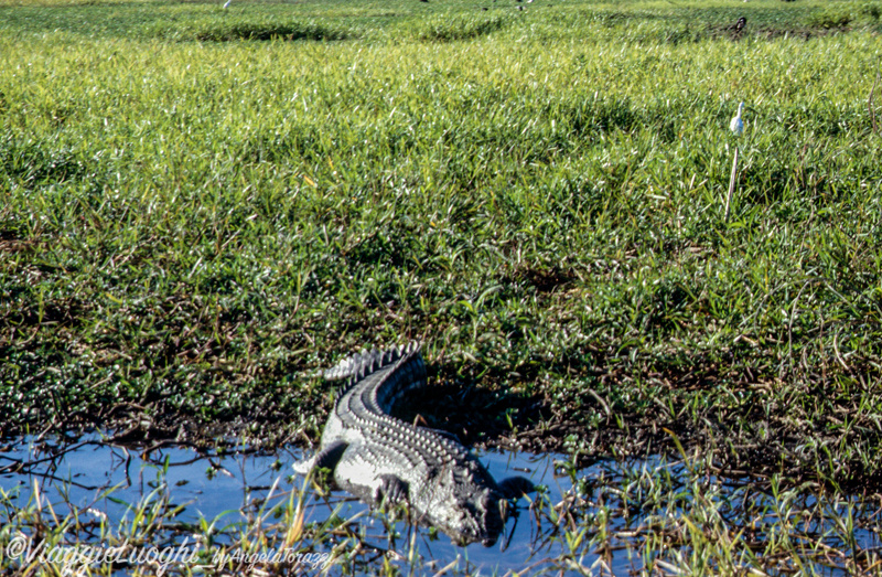 5 Australia kakadu 104