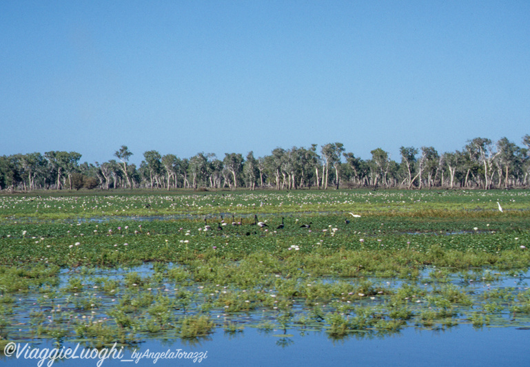 5 Australia kakadu 117