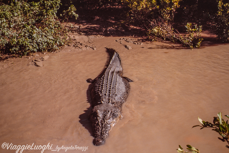 5 Australia kakadu 124