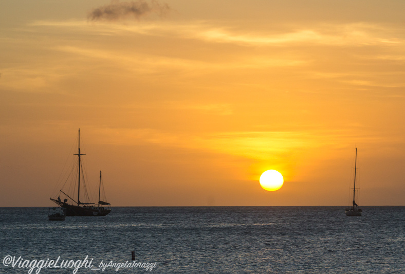 Aruba nov 2014 1033 Palm Beach