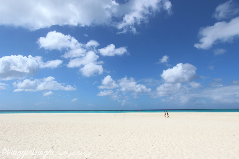 Aruba nov 2014 353 Machebo Beach