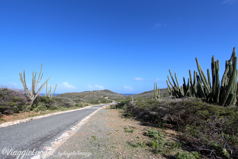 Aruba nov 2014 405 Arikok Nat. Park