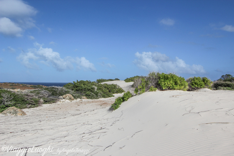 Aruba nov 2014 420