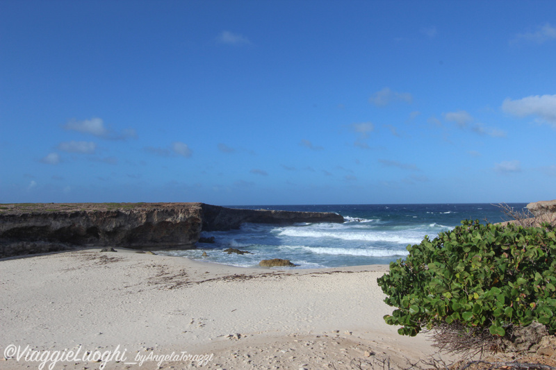 Aruba nov 2014 459