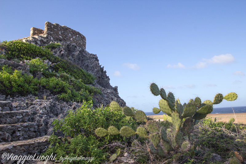 Aruba nov 2014 498