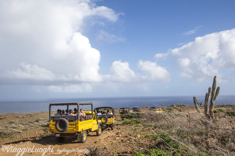 Aruba nov 2014 664