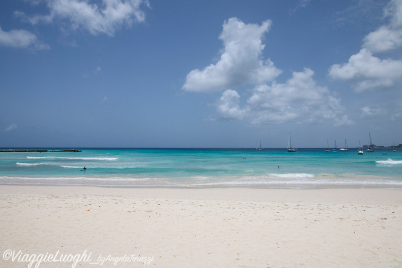 Barbados Inspection April 18-778Carlisle Bay