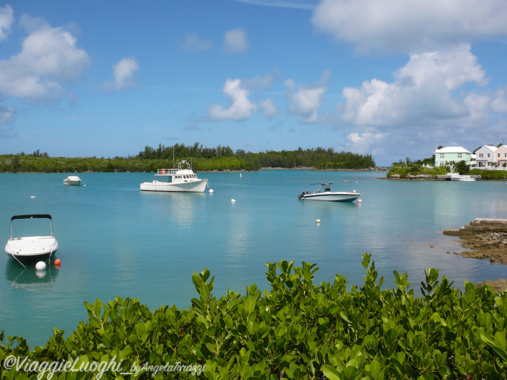 Bermuda 2011-1 Grotto bay