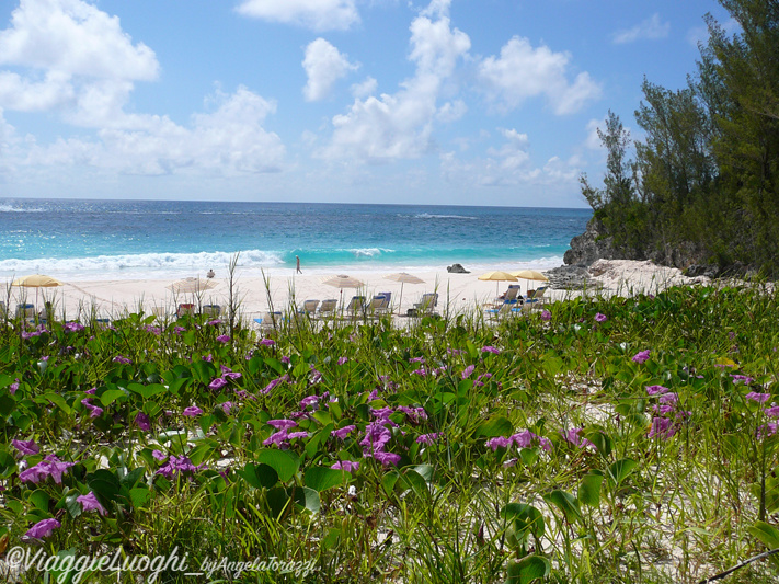 Bermuda 2011-10 Elbow B