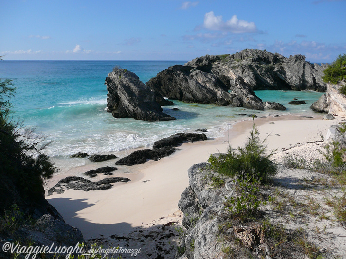 Bermuda 2011-23Horseshoe bay