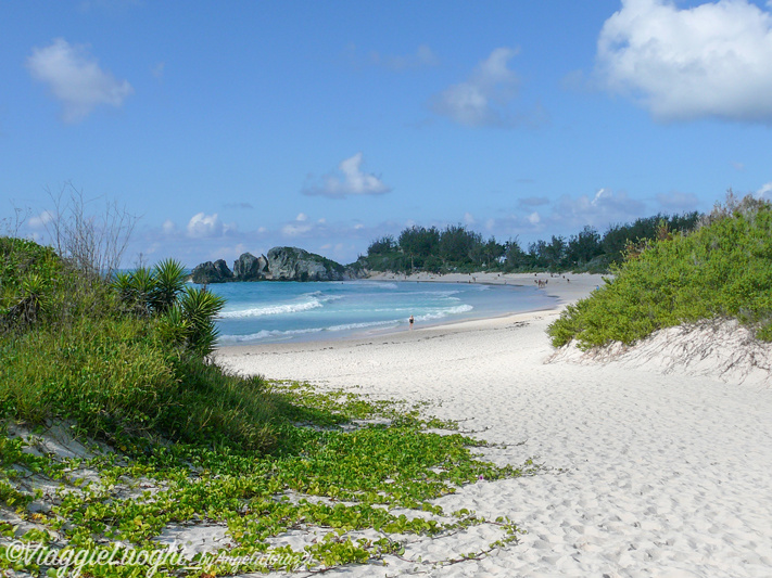 Bermuda 2011-26Horseshoe bay