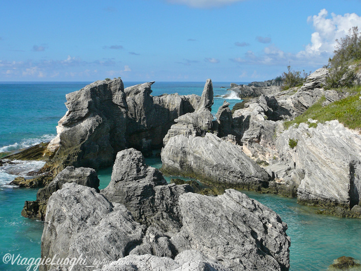 Bermuda 2011-27Horseshoe bay