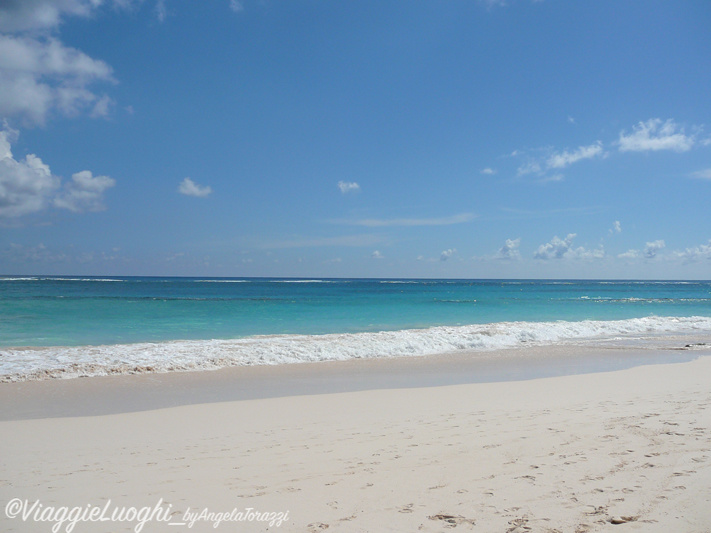 Bermuda 2011-29 Elbow Beach