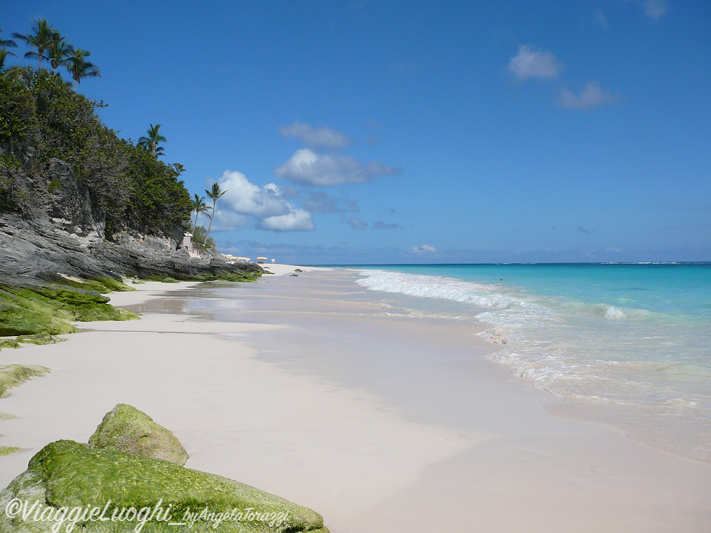 Bermuda 2011-31 Elbow Beach