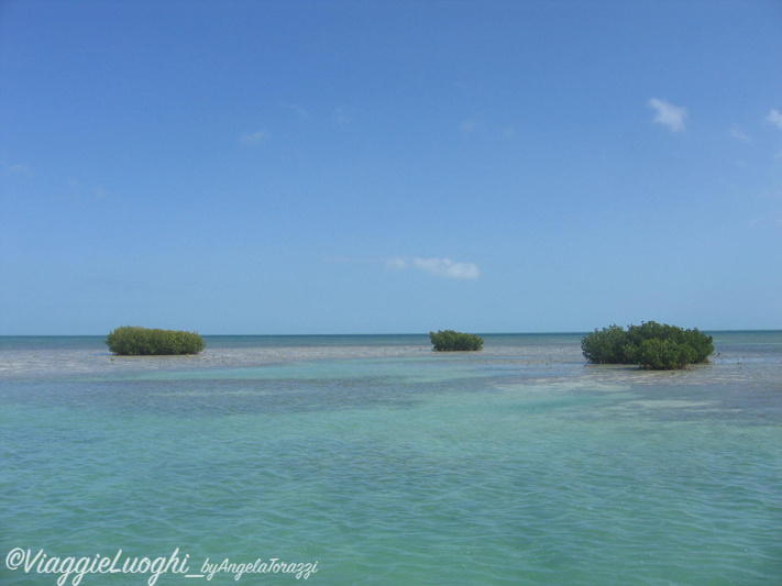 Cuba Cayo Largo apr 09 122