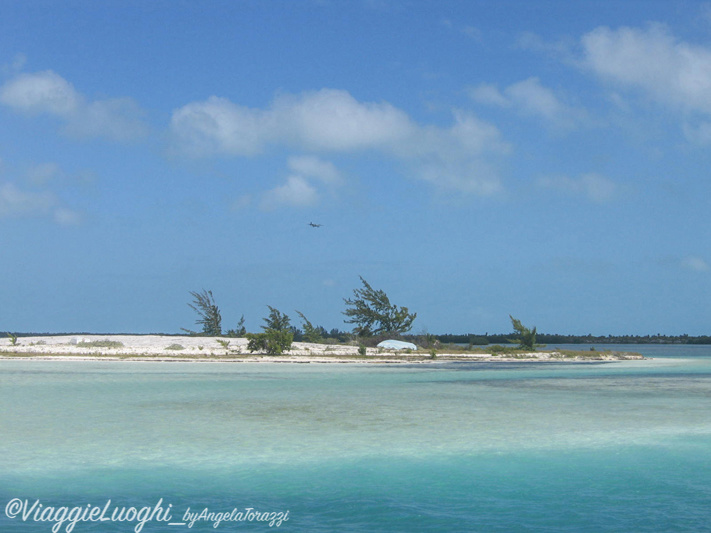 Cuba Cayo Largo apr 09 128