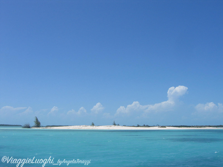 Cuba Cayo Largo apr 09 144