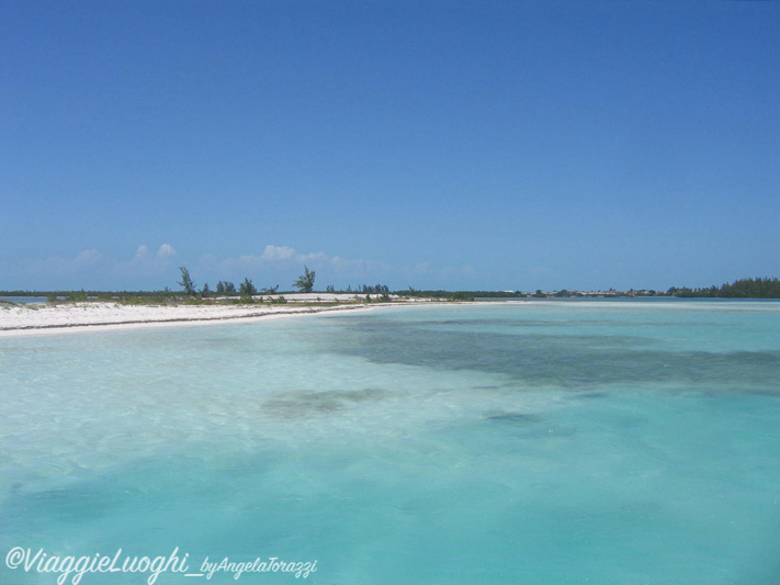 Cuba Cayo Largo apr 09 147