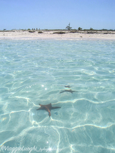 Cuba Cayo Largo apr 09 167