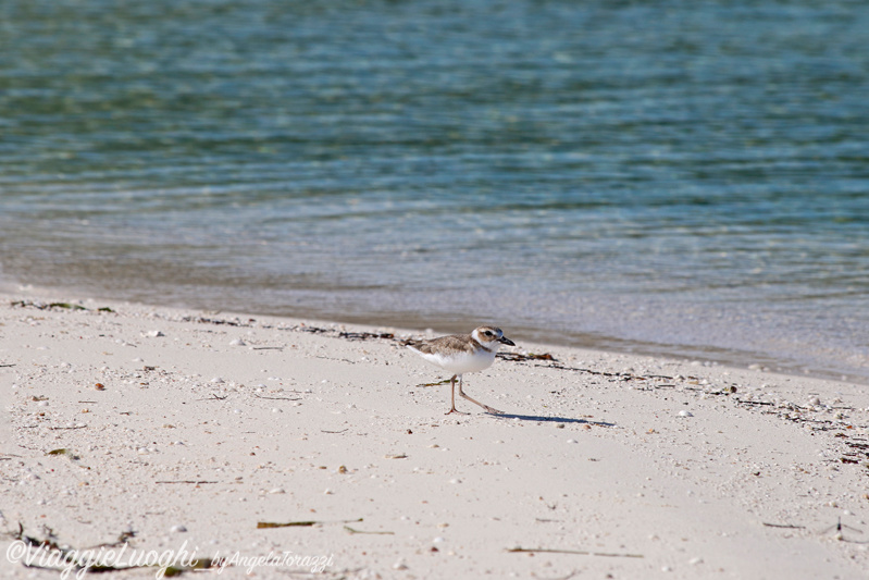 Cuba Cayo Levisa 11