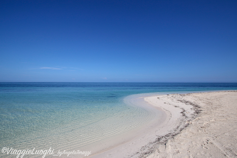 Cuba Cayo Levisa 13