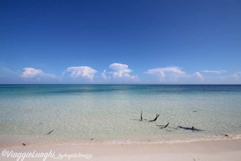 Cuba Cayo Levisa 25