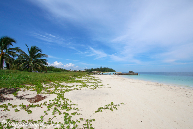 Cuba Cayo Levisa 4