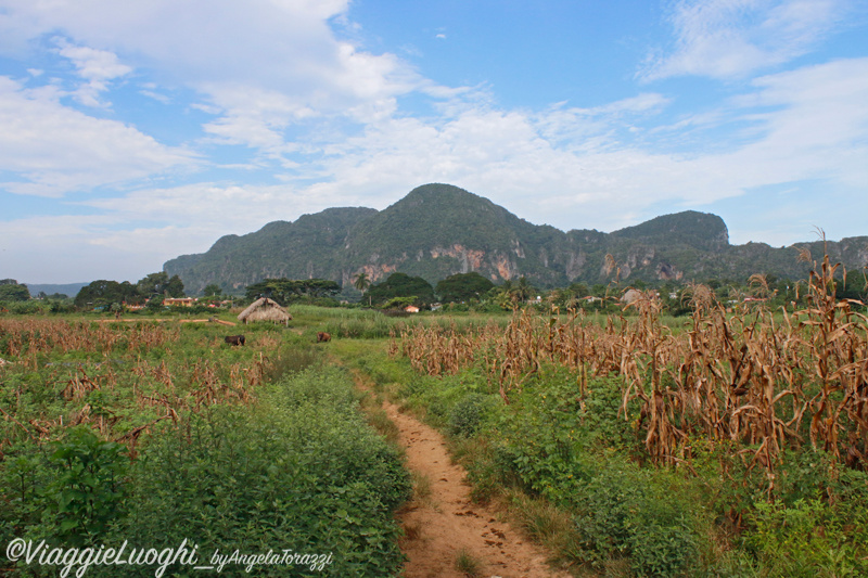 Cuba Vinales Aug 2016-2014