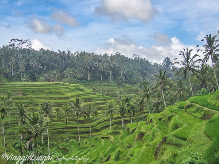 Indonesia Bali 10