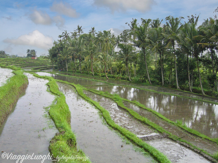 Indonesia Bali 12