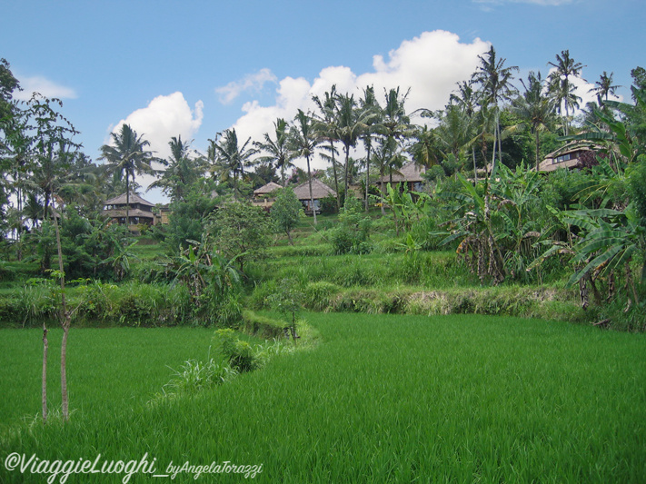 Indonesia Bali 29