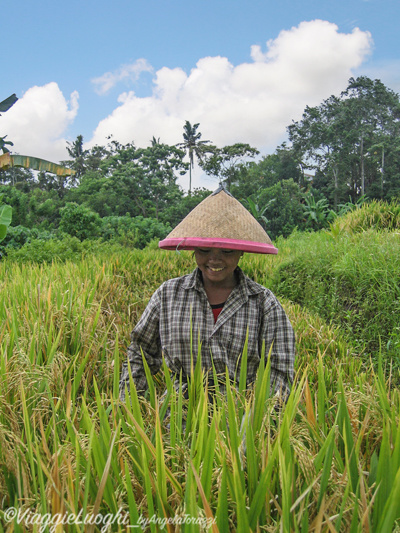 Indonesia Bali 30