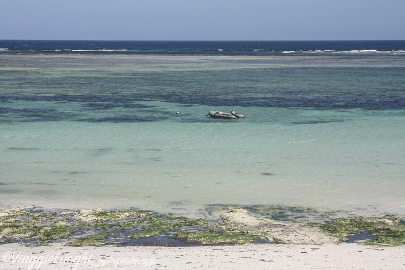 Kenya _1123 Diani Beach