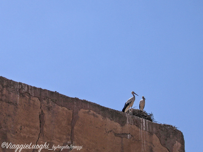 Marrakech 15