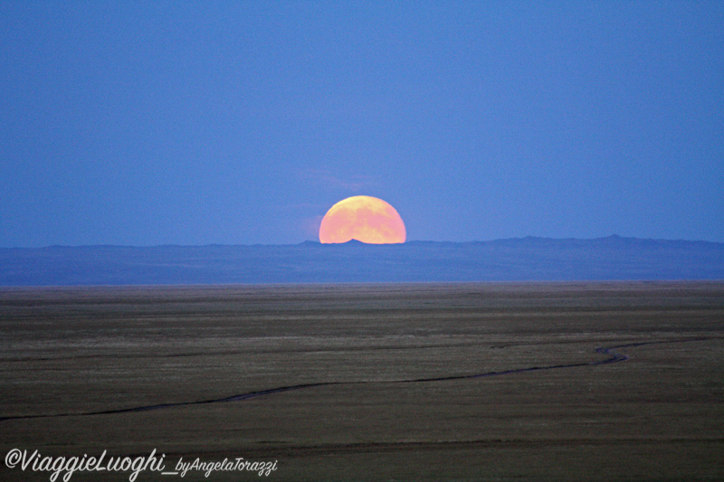 Mongolia aug 2013 2537b