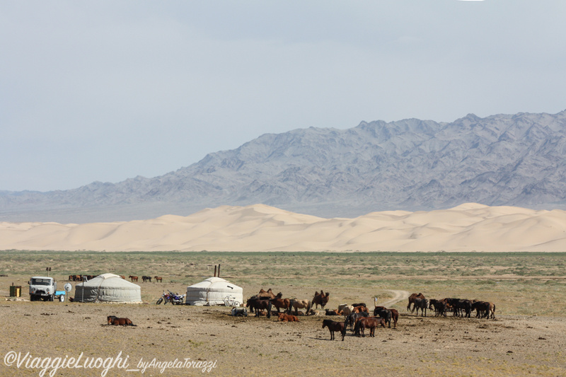 Mongolia aug 2013 2664 Gobi Khongorin els