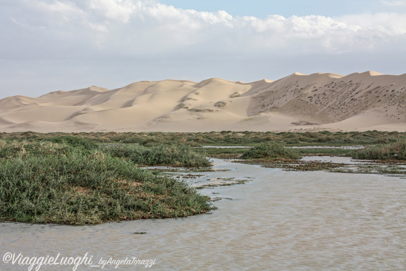 Mongolia aug 2013 2769 Gobi