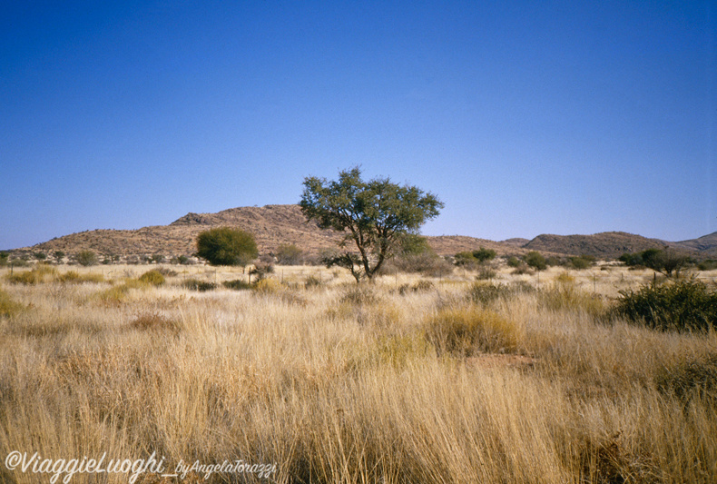 Namibia 88 (1)