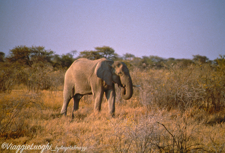 Namibia 88 100