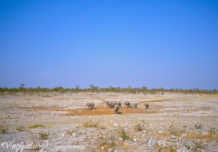 Namibia 88 105c