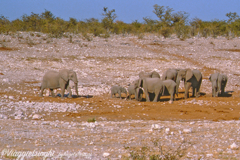 Namibia 88 107