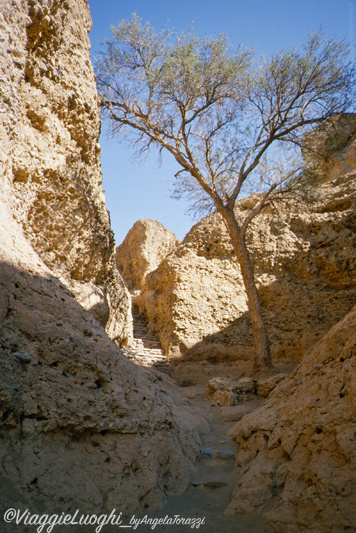 Namibia 88 (11)