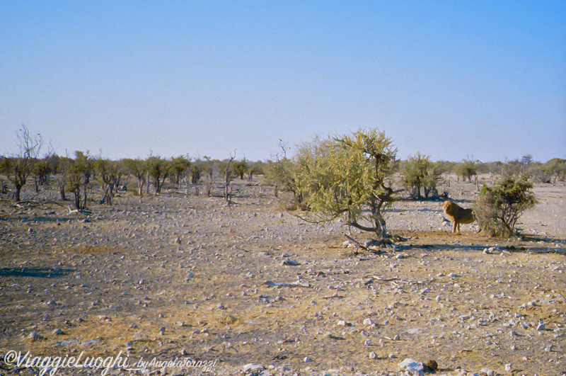 Namibia 88 116B