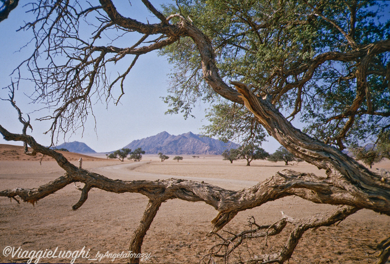 Namibia 88 (14)