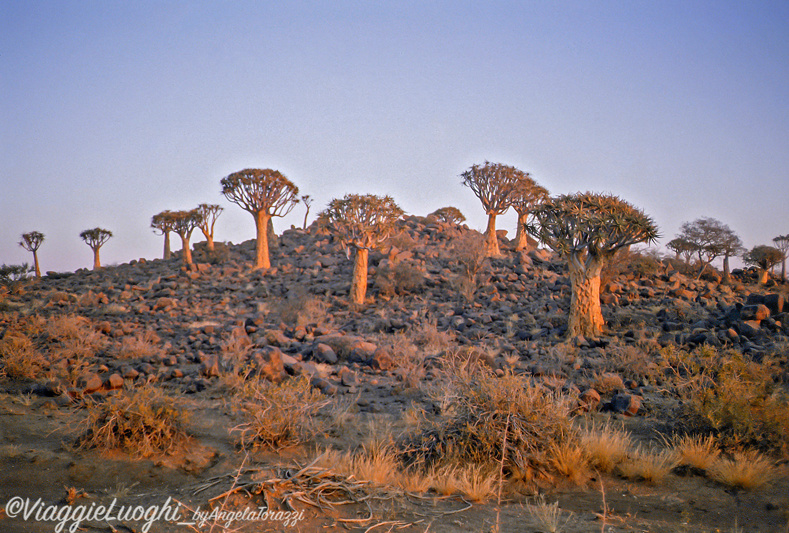 Namibia 88 (52b)